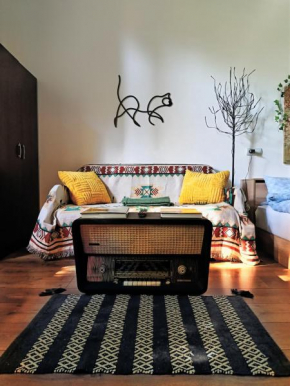 Small apartment - historic house